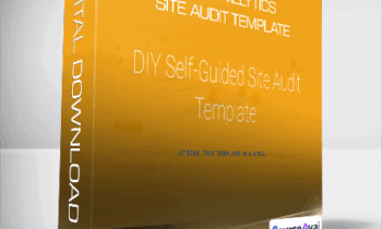 Annie Cushing - the Annielytics Site Audit Template