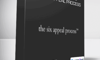 Ash Ambirge - Shop of Moxie - The 2015 Six Appeal Process