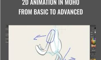 2D Animation in Moho from Basic to Advanced - Mark