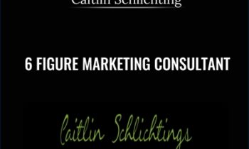 6 Figure Marketing Consultant - Caitlin Schlichting