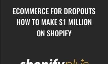 ECommerce for Dropouts - How To Make $1 Million On Shopify - HaimTheDropout
