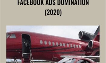 Facebook Ads Domination (2020) - Greg Davis and Steve Fantasia