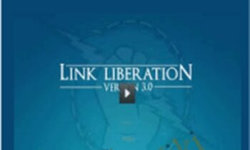 Link Liberation 3 - Dan Thies and Leslie Rohde
