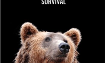Live Webinar Bear Market Survival - ReadySetCrypto