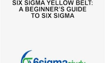 Six Sigma Yellow Belt: A Beginners Guide to Six Sigma - AIGPE