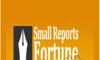 Small Reports Fortune 2.0 - Jimmy D Brown