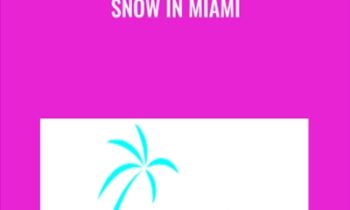 Snow In Miami - Josh Elizetxe