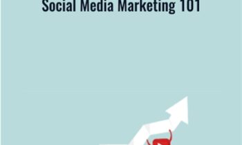 Social Media Marketing 101 - Vision Paradox
