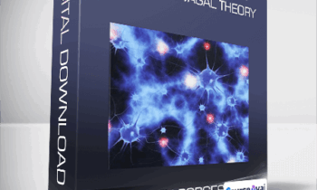 Clinical Applications of the Polyvagal Theory from Dr. Stephen Porges
