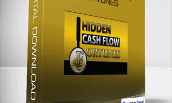 Hidden Cash Flow Fortunes from Lan Flannigan