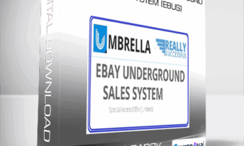 Roger and Barry - The Complete eBay Underground Sales System (eBUS)