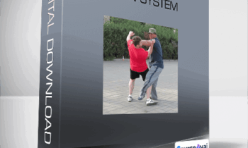 Yin Style Bagua - Uon System