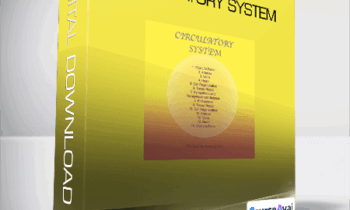 Sound Healing Center - Circulatory System