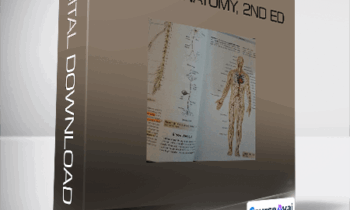 Kinetic Anatomy