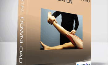 Primal 3D series: Sports Injuries Knee