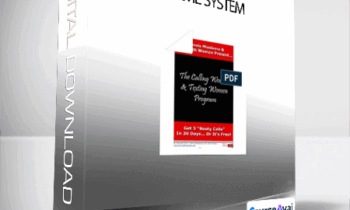 Dennis Miedema - The Simple Inner Game System