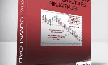 Flow Indicator Software Perfect for Futures Ninjatrader