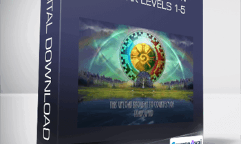 Global Information Network Levels 1-5