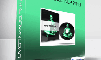 David Snyder - Real World NLP 2019