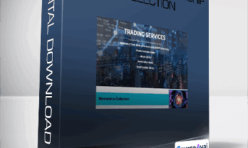 Tradeguider Mentorship Collection