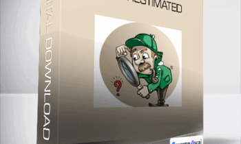 Kelly Felix - Underestimated