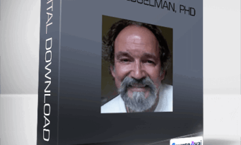 Visionseeker - Hank Wesselman