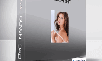 Craig Miller - Sexual Activation Blueprint