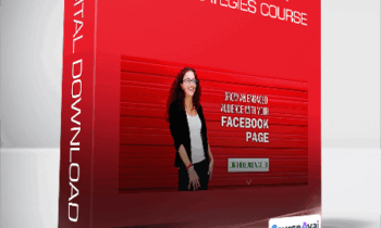 Moolah Facebook Page Strategies Course