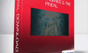 Joe Dispenza - Rewired Episode 11: Transcendence & the Pineal