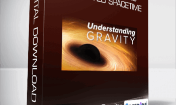 Black Holes