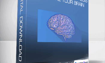 Neuroscience Synthesis To Rewire Your Brain