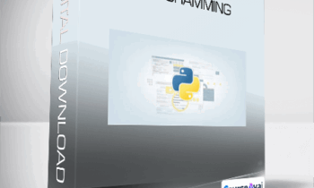Python Web Programming