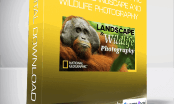 The National Geographic Guide to Landscape and Wildlife Photography
