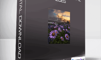 Putting together the pieces