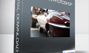 How to Remove Anything in Photoshop