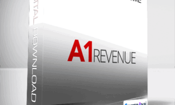 The A1 Revenue VIP Programme