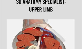 3D Anatomy Specialist-Upper Limb - Primal Pictures