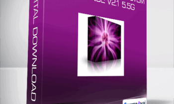 Maximum Immune System Response V2.1 5.5g