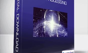 Python - Data Processing