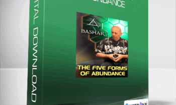 Bashar - The Five Forms of Abundance