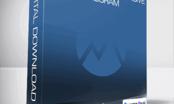 Base Camp Trading - Renko Mastery Intensive Program