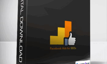 FB ADS FOR SEO