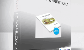 Doug O’Brien - “How Deep the Rabbit Hole?