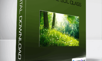 Dr. Elaine Ingham - Life In The Soil Class