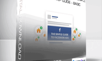 Easy Agent PRO - Facebook Advertising Made Simple: A Step-by-Step Guide - BASIC