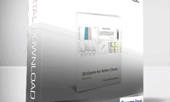 Excel Dashboard Course