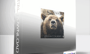 Brian Colbert - Resilience