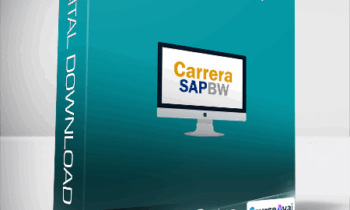 Jose Aldemar Cortes - Carrera SAP BW