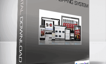 Business Flipping System