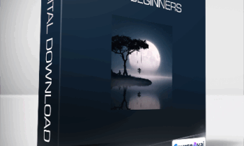 Julius Kähkönen - Photoshop for Beginners